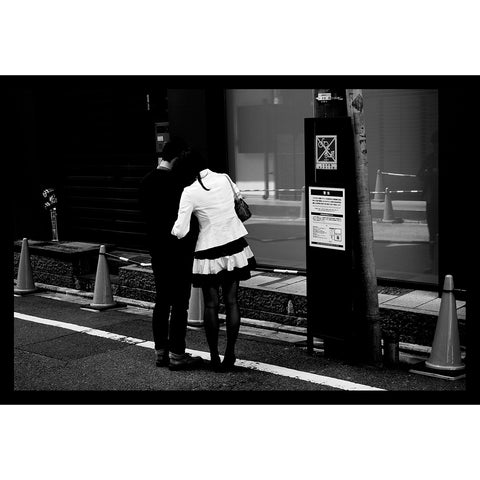 Lovers Standing On The Concrete (Crow & Heron), Shijo-dori, Kasabokocho, Kyoto