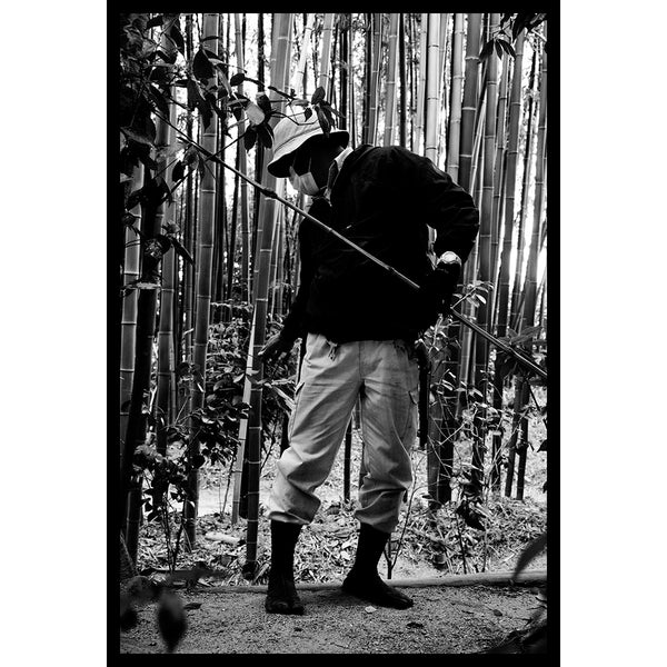 Gardener, Ginkaku-ji, Sakyō-ku, Kyoto