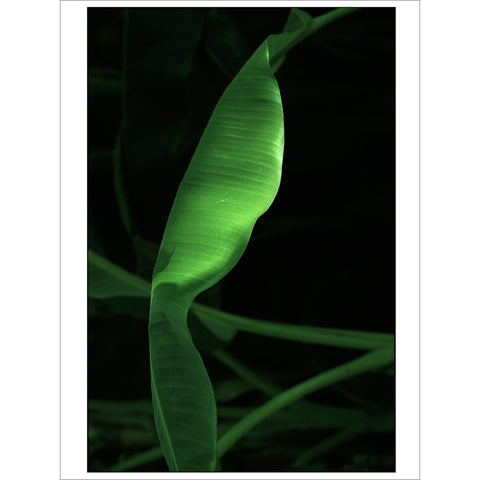 'Cilento' Untitled Img173, 2018 - Blast Future